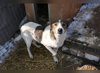 Princess, süße Maus wartet auf ihre Herzensmenschen