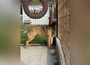 Anke – im Schatten aufgeblüht und bereit für ihr eigenes Zuhause 