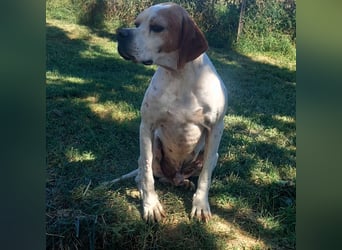 Odysseus sucht ein Zuhause