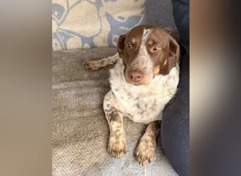 Daisy hat Glück im Unglück