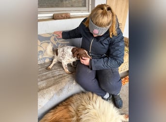 Daisy hat Glück im Unglück