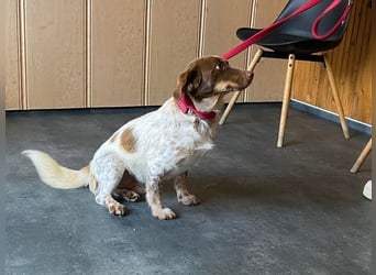 Daisy hat Glück im Unglück Daisy hat Glück im Unglück