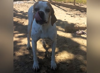 Odysseus sucht ein Zuhause