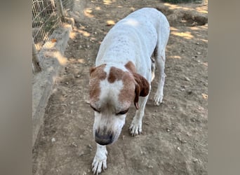 Odysseus sucht ein Zuhause