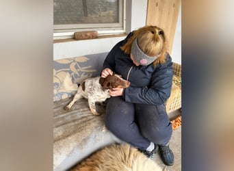 Daisy hat Glück im Unglück