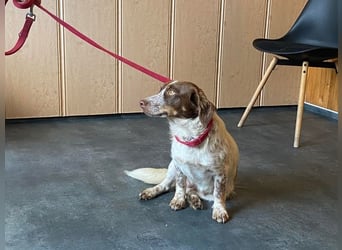 Daisy hat Glück im Unglück Daisy hat Glück im Unglück