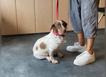 Daisy hat Glück im Unglück Daisy hat Glück im Unglück