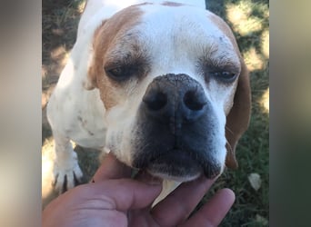 Odysseus sucht ein Zuhause