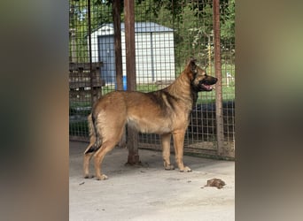 Anke – im Schatten aufgeblüht und bereit für ihr eigenes Zuhause 