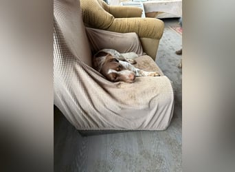 Daisy hat Glück im Unglück