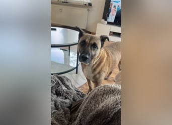 Pacco verliert unverschuldet sein liebevolles Zuhause