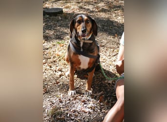 Dory - wartet nun schon so lange auf ihre Familie!