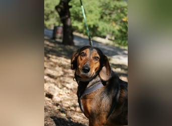 Dory - wartet nun schon so lange auf ihre Familie!