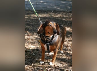 Dory - wartet nun schon so lange auf ihre Familie!