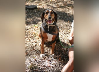 Dory - wartet nun schon so lange auf ihre Familie!