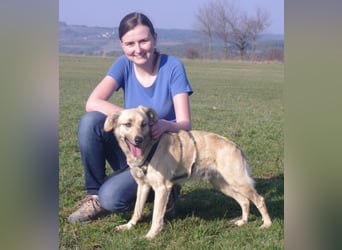 Schüchterner junger Hundemann sucht einfühlsame Menschen 