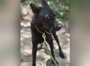 Apollo sucht sicheren Hafen!