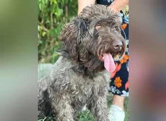 ROCCO (*2024) auf der Suche nach seinem Glück