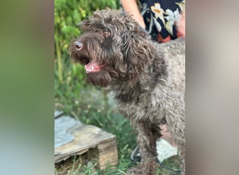 ROCCO (*2024) auf der Suche nach seinem Glück