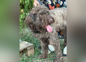 ROCCO (*2024) auf der Suche nach seinem Glück