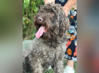 ROCCO (*2024) auf der Suche nach seinem Glück