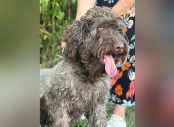 ROCCO (*2024) auf der Suche nach seinem Glück