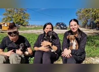 LANYA ❤  wartet in 24619 Rendswühren auf Dich