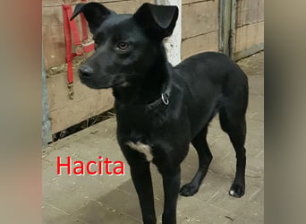 HACITA ❤  wartet in 98553 Schleusingen auf Dich