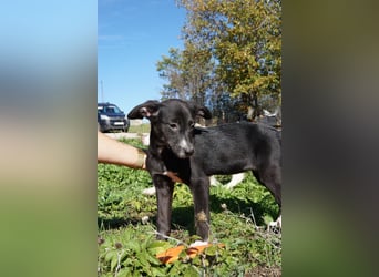 LANYA ❤  wartet in 24619 Rendswühren auf Dich