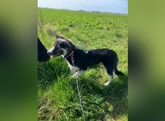 RONDA ❤  wartet in 42281 Wuppertal auf Dich