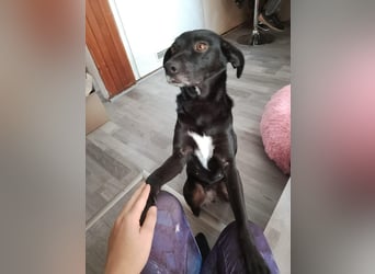 HACITA ❤  wartet in 98553 Schleusingen auf Dich