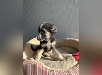 RONDA ❤  wartet in 42281 Wuppertal auf Dich