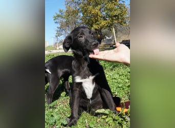 LANYA ❤  wartet in 24619 Rendswühren auf Dich