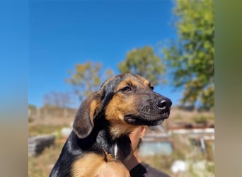 YARA ❤ wartet in 26676 Barßel auf Dich