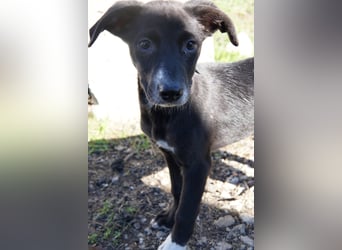 LANYA ❤  wartet in 24619 Rendswühren auf Dich