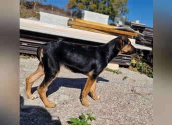 YARA ❤ wartet in 26676 Barßel auf Dich