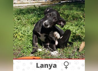 LANYA ❤  wartet in 24619 Rendswühren auf Dich