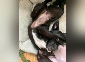 BEENARDA ❤  wartet in 50968 Köln auf Dich