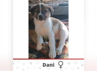 DANI ❤️  wartet in 38723 Seesen auf Dich