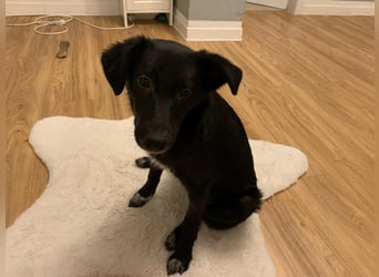 BEENARDA ❤  wartet in 50968 Köln auf Dich