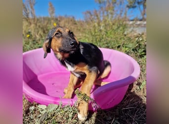 YARA ❤ wartet in 26676 Barßel auf Dich