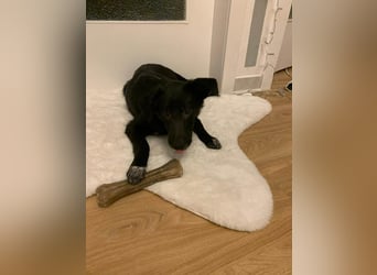 BEENARDA ❤  wartet in 50968 Köln auf Dich