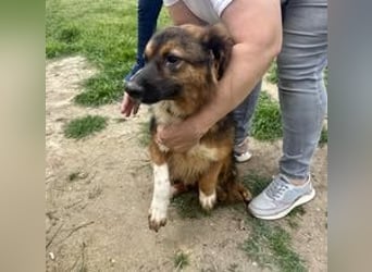 COOLIO ❤  wartet in 69126 Heidelberg auf Dich