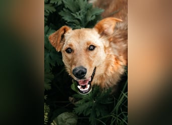 Hübsche Dina sucht warmes Körbchen