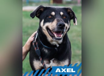 Axel