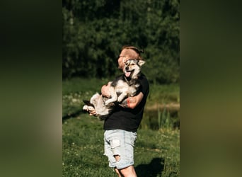 Aktive Naya sucht ihre Menschen