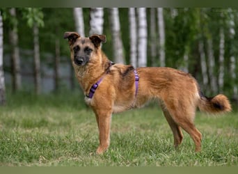 Ruhige Malta sucht warmes Körbchen