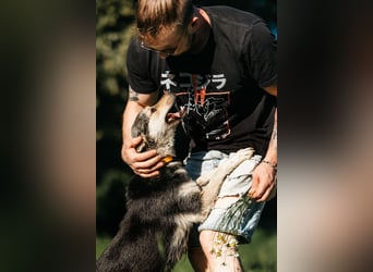 Aktive Naya sucht ihre Menschen