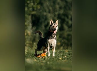 Aktive Naya sucht ihre Menschen
