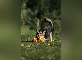 Aktive Naya sucht ihre Menschen